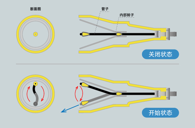 未标题-2_画板 1.jpg